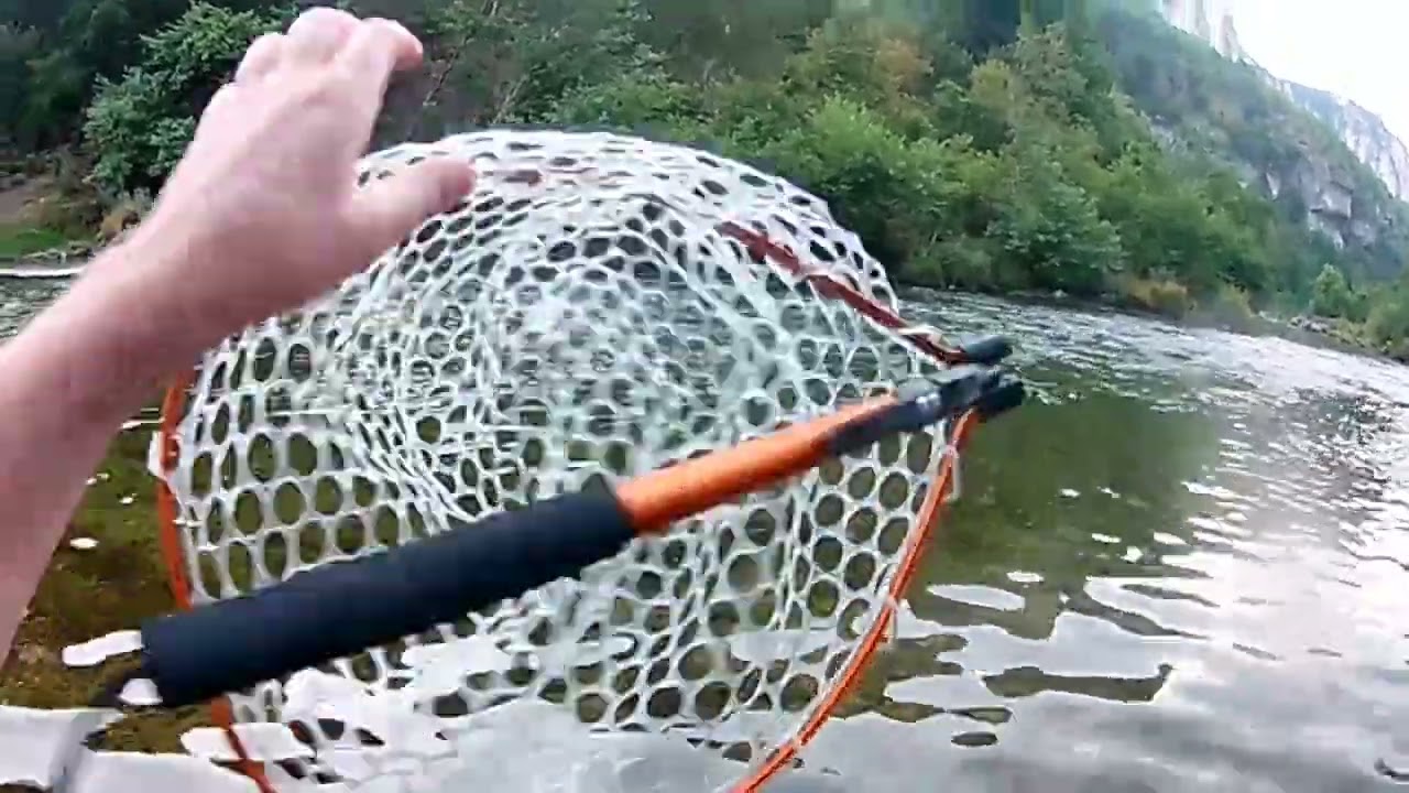 [#Pêche] gorge du Tarn toc nymphe août 2023 [#trout]