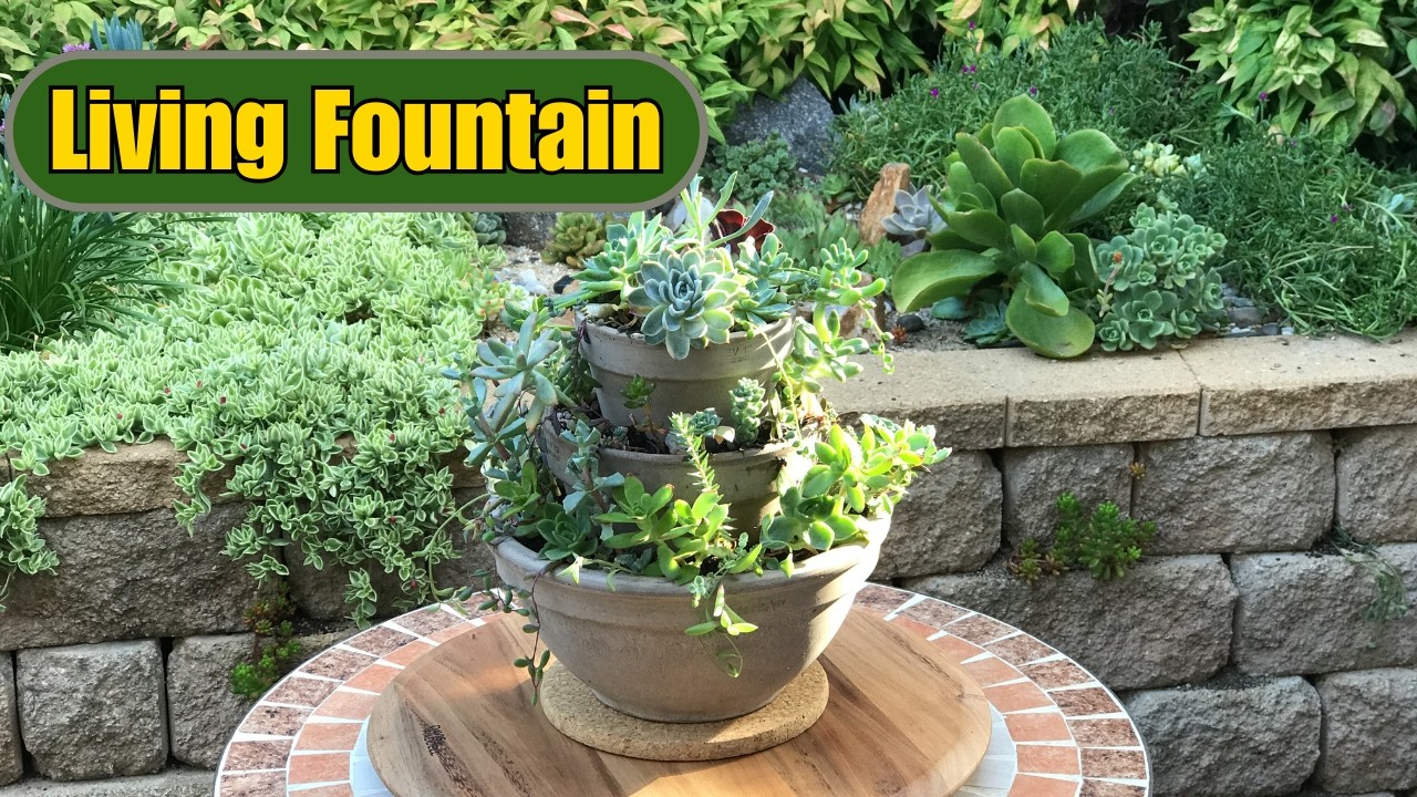 DIY Succulent Fountain (Step-by-Step)