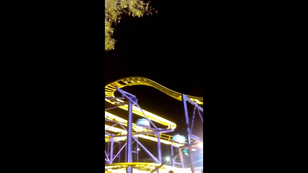 El rat&oacute;n loco