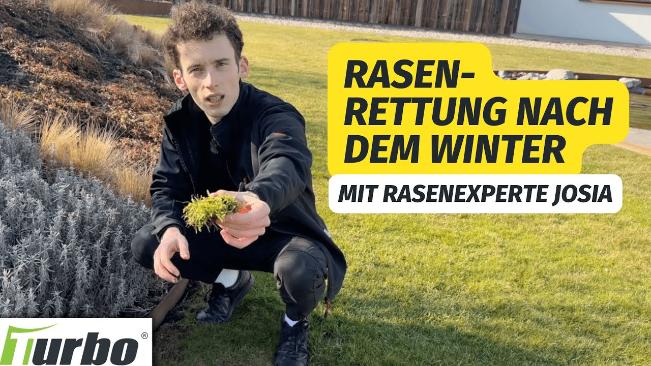 Dein Rasen nach dem Winter: Was jetzt zu tun ist 🌱❄️  | Turbogrün