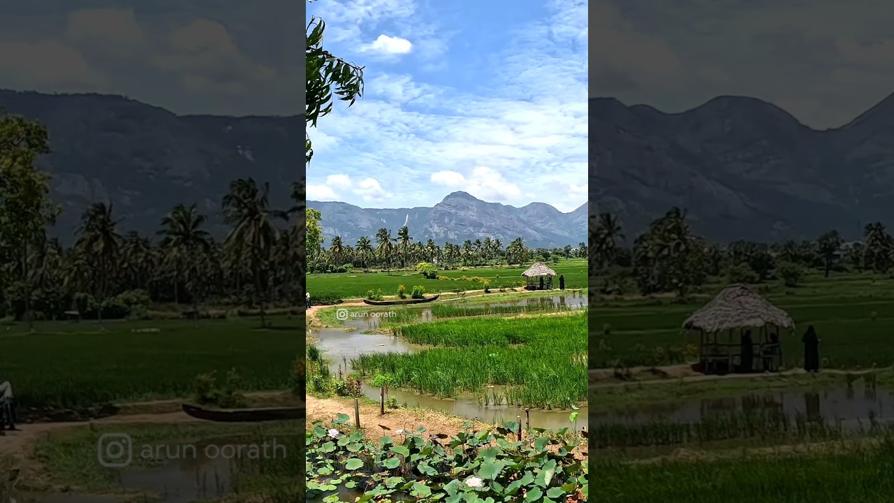 Kudilidam View Point 🌱☘️ 