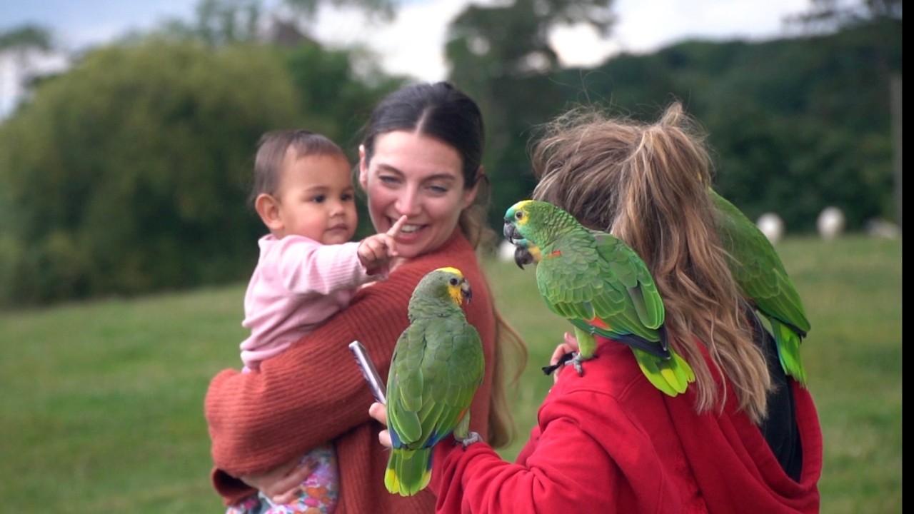 Parrot Party Free Flight Day!