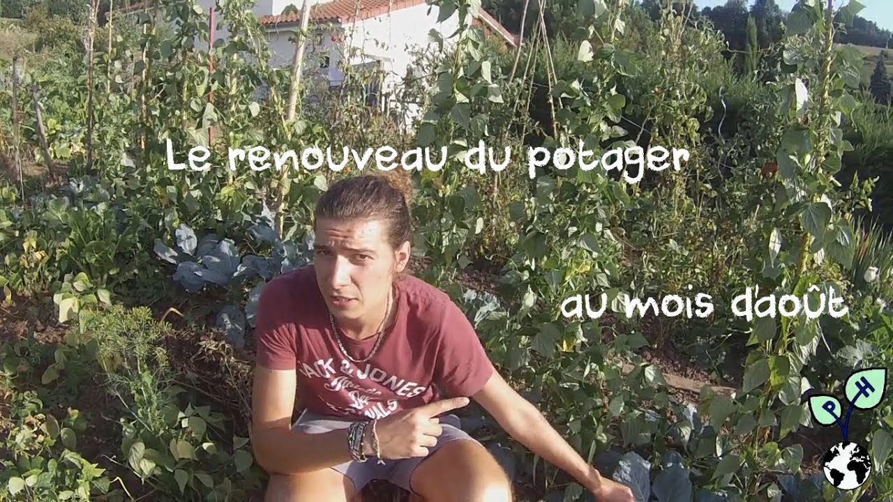 Le renouveau du potager au mois d'août & l'autonomie en semences