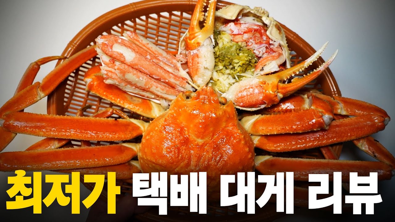 최저가 택배 대게는 괜찮을까? 대게 수입업자가 파는 최저가 활 대게 주문해 봤습니다!