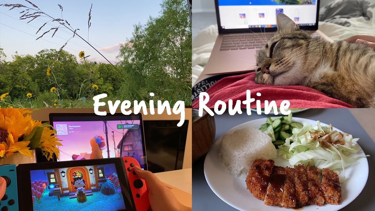 My Evening Routine After Work | Animal Crossing, Video Editing, Cats, and More