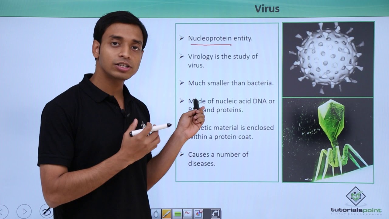 Class 11th &ndash; Virus &ndash; Introduction | Biological Classification | Tutorials Point