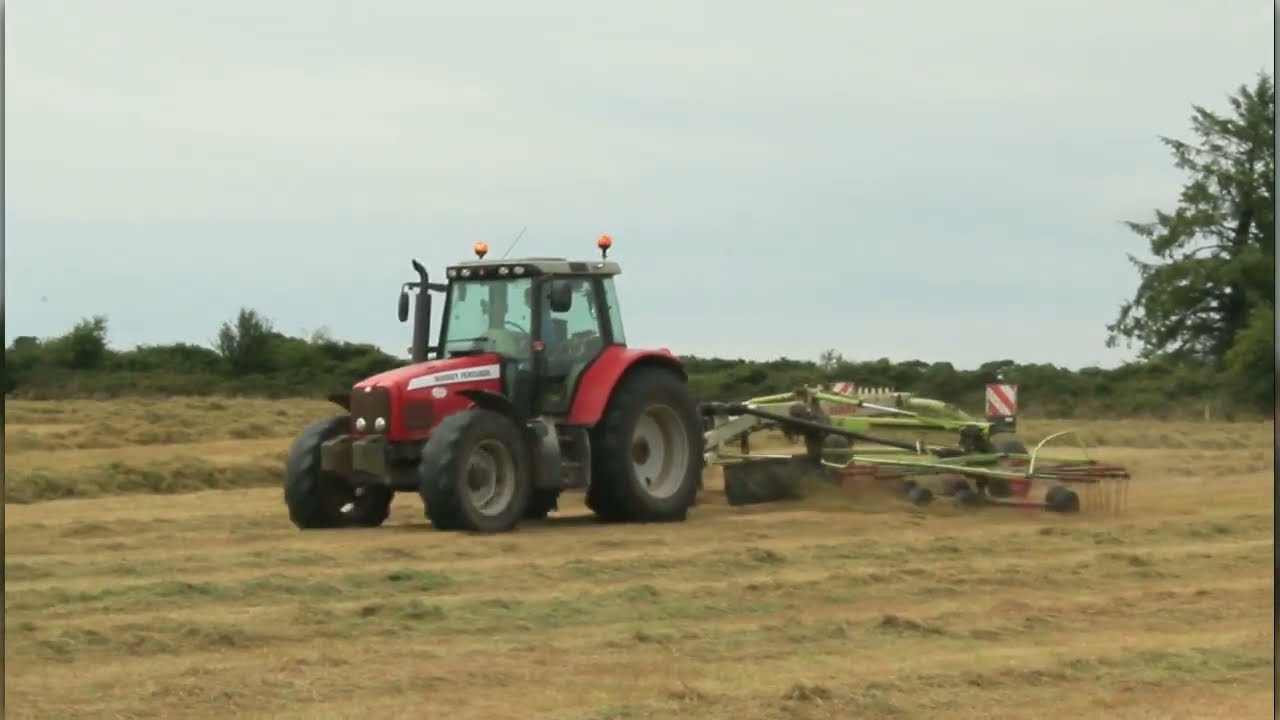 Raking Silage - Massey 6465