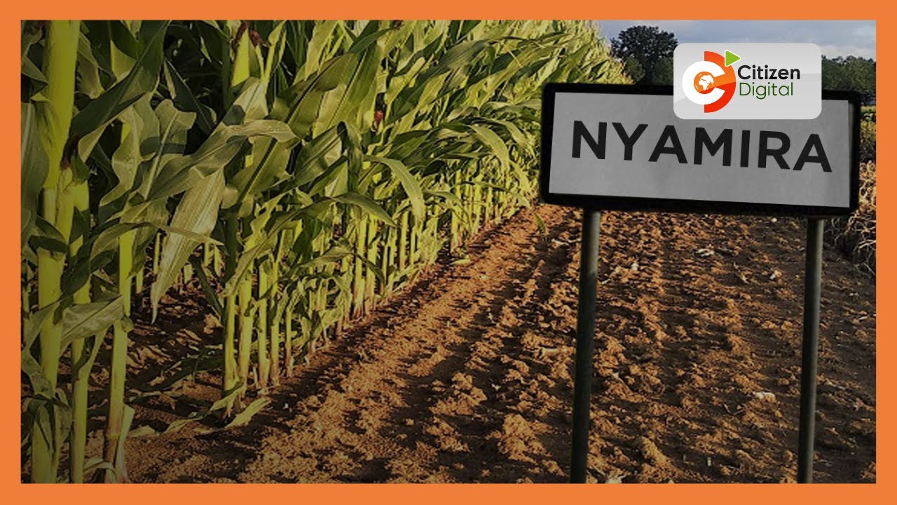 Nyamira to host Kenya&rsquo;s first agro-industrial Park