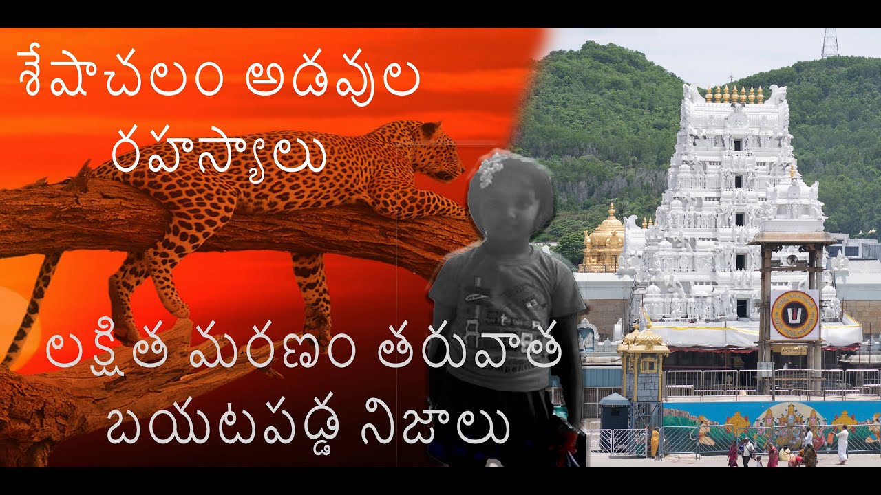 Facts about Seshachalam Forest | FactsGlobe |