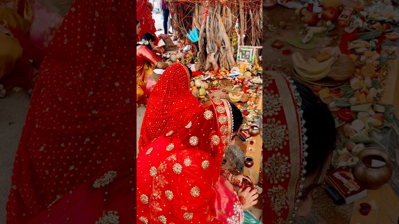 Vrat Vat Savitri Ka 🙏 | Vat Savitri Puja ❤️ #shorts #shortvideo #husbandwife #festival