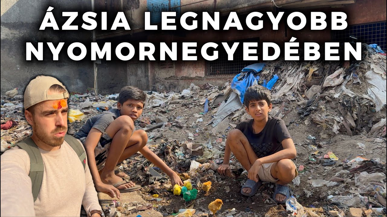 AHOL EGY WC JUT 1400 EMBERRE! 🇮🇳 INDIA VII. RÉSZ