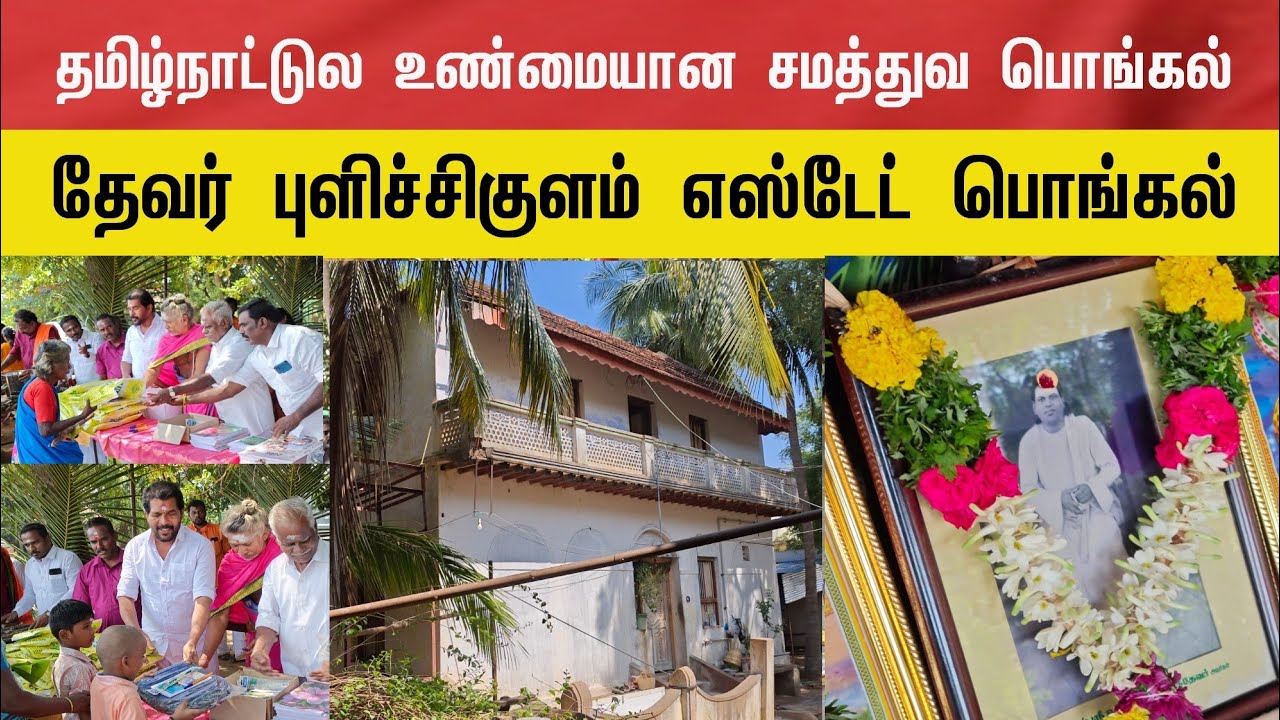 புளிச்சிகுளம் தேவர் எஸ்டேட் பொங்கல் விழா | உண்மையான சமத்துவ பொங்கல்  - ஜோதி முத்துராமலிங்கத்தேவர் 