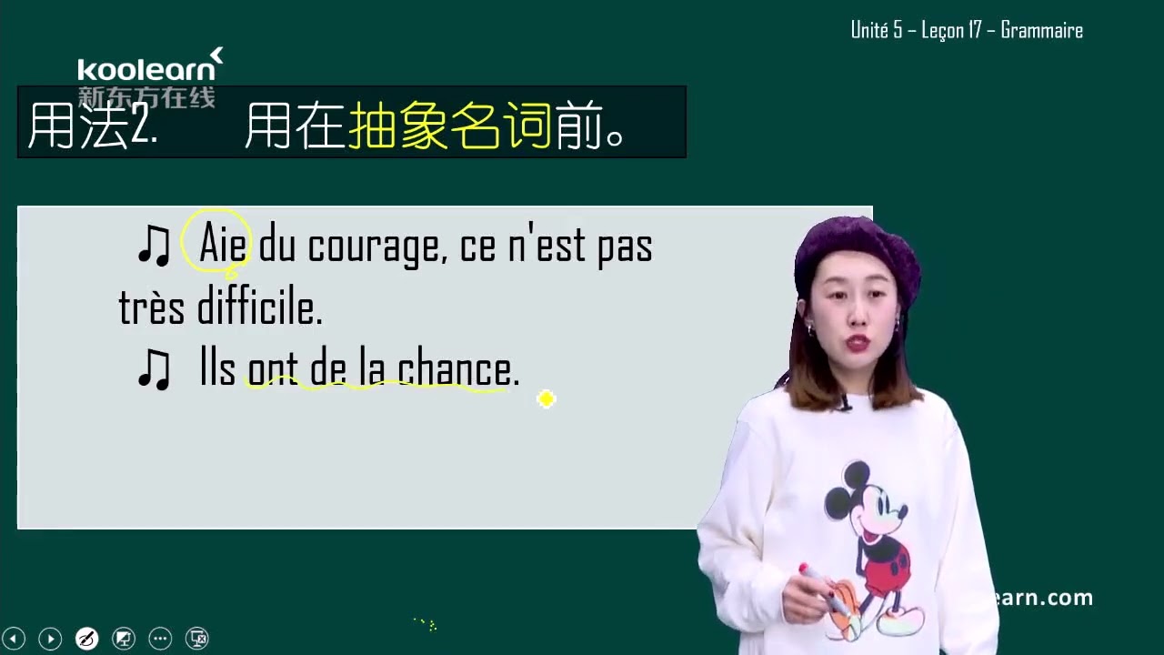 85 Leçon 17 语法 部分冠词
