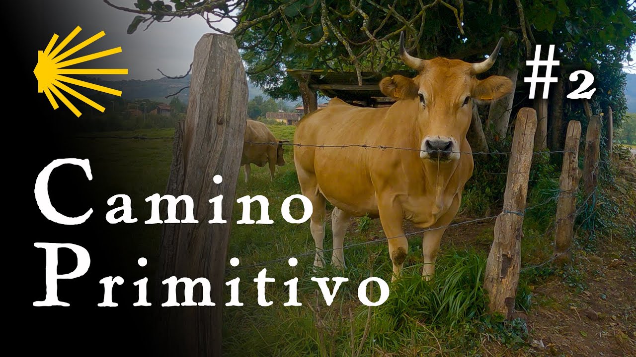 Tag 2 - Camino Primitivo 2021 [Jakobsweg]