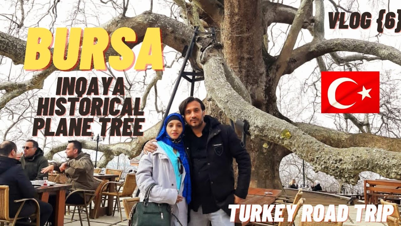 Exploring Bursa| Inkaya histrolical plane tree|610years old|Bursa |Turkey..