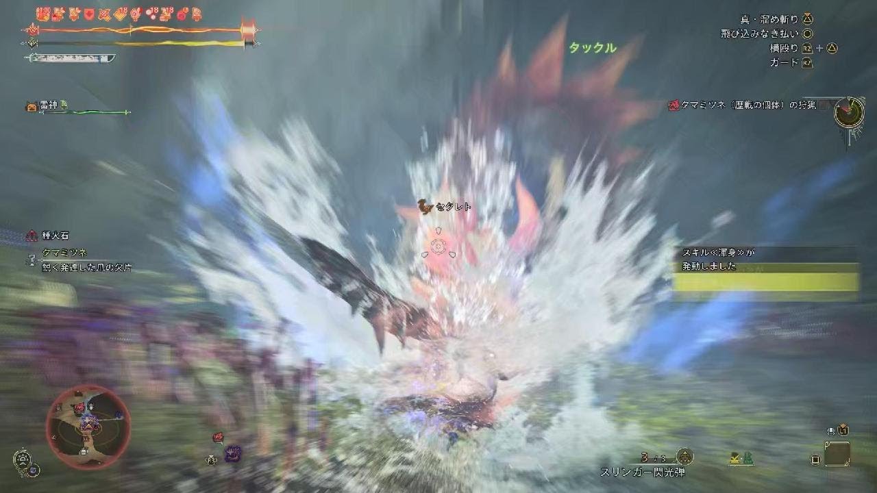 【MHWilds】 狩猟演習 歴戦タマミツネ 大剣 05’34”95