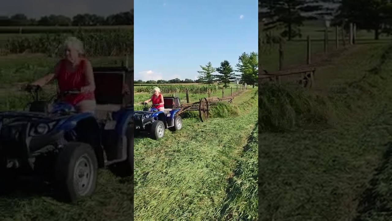 Заготовка сена, грабли John Deere середины 1800-х годов. 