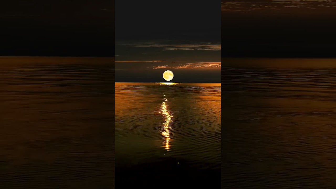 #moonlight #sea