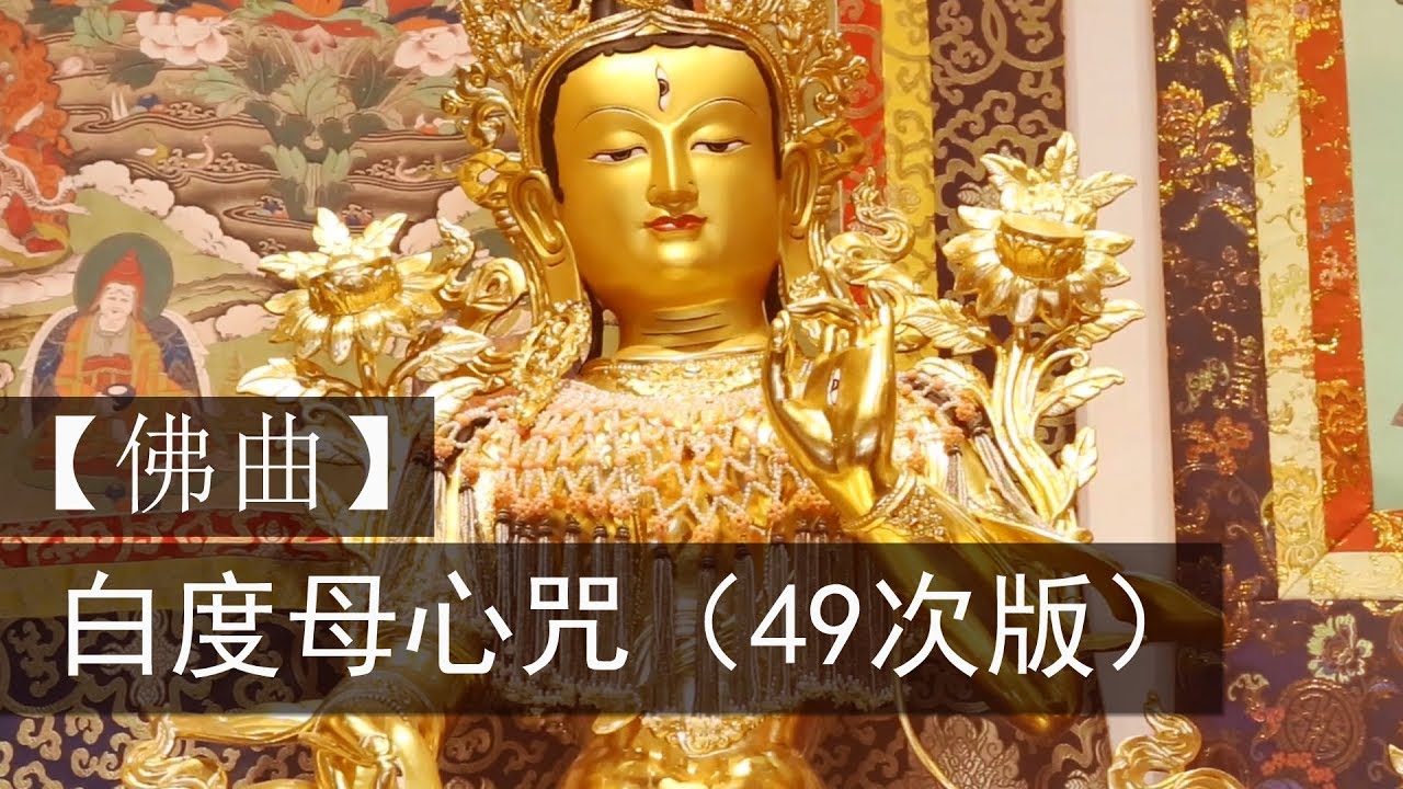 白度母心咒MV（49次版）White Tara Mantra (49 times)｜雨揚 / 貝瑪央金｜佛曲｜雨揚樂活家族