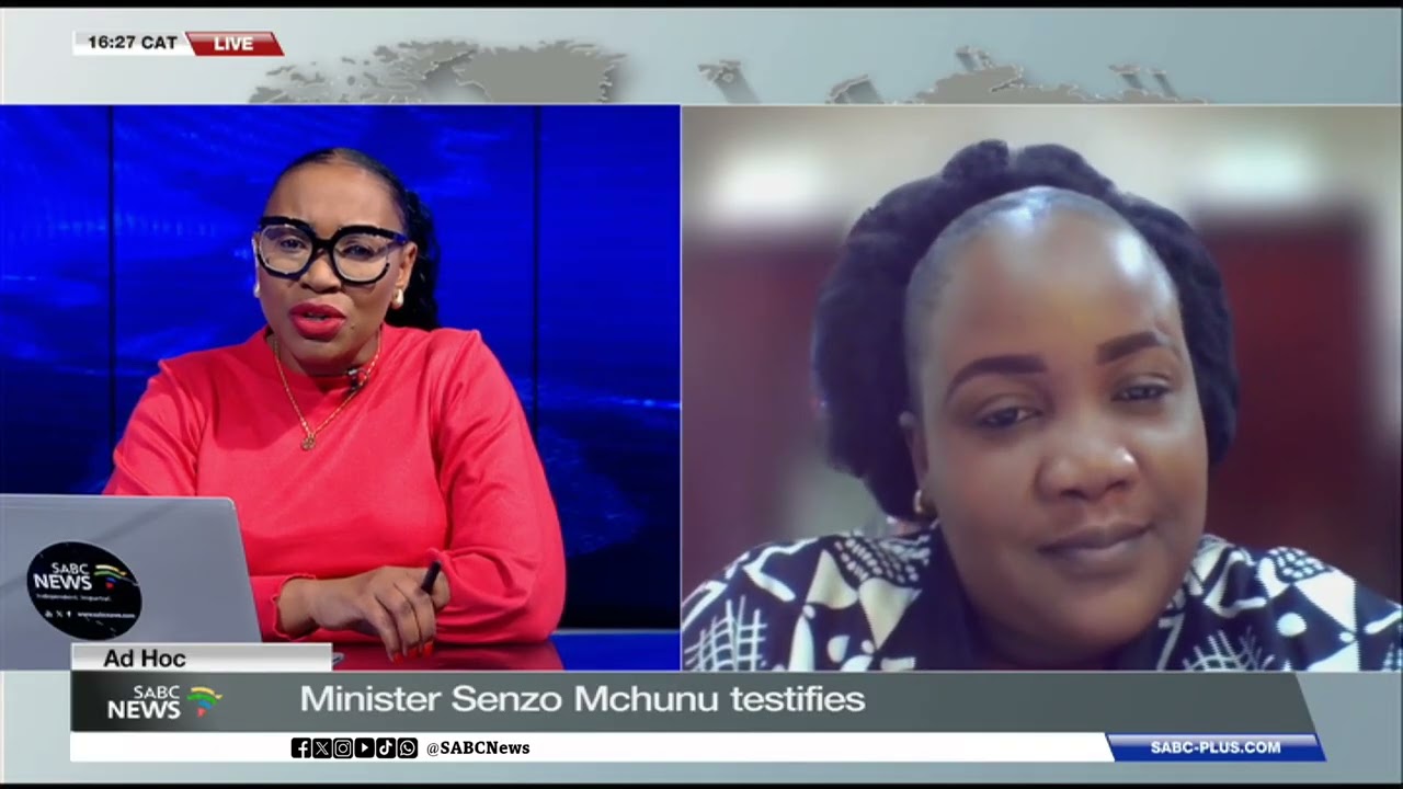 Ad Hoc Committee | Prof. Kholofelo Rakubu unpacks Mchunu's testimony