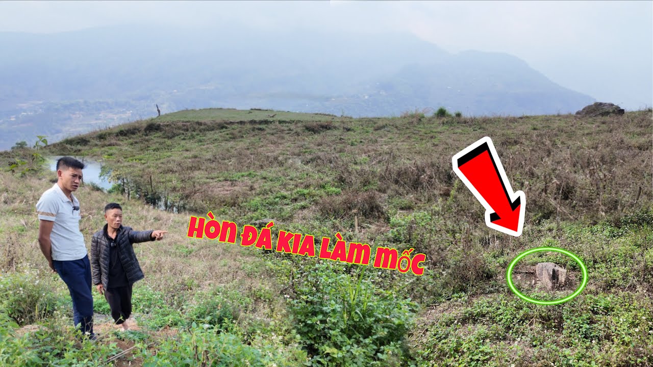 A Hầu bán hết của hồi môn , mua thêm đất làm chuồng lợn