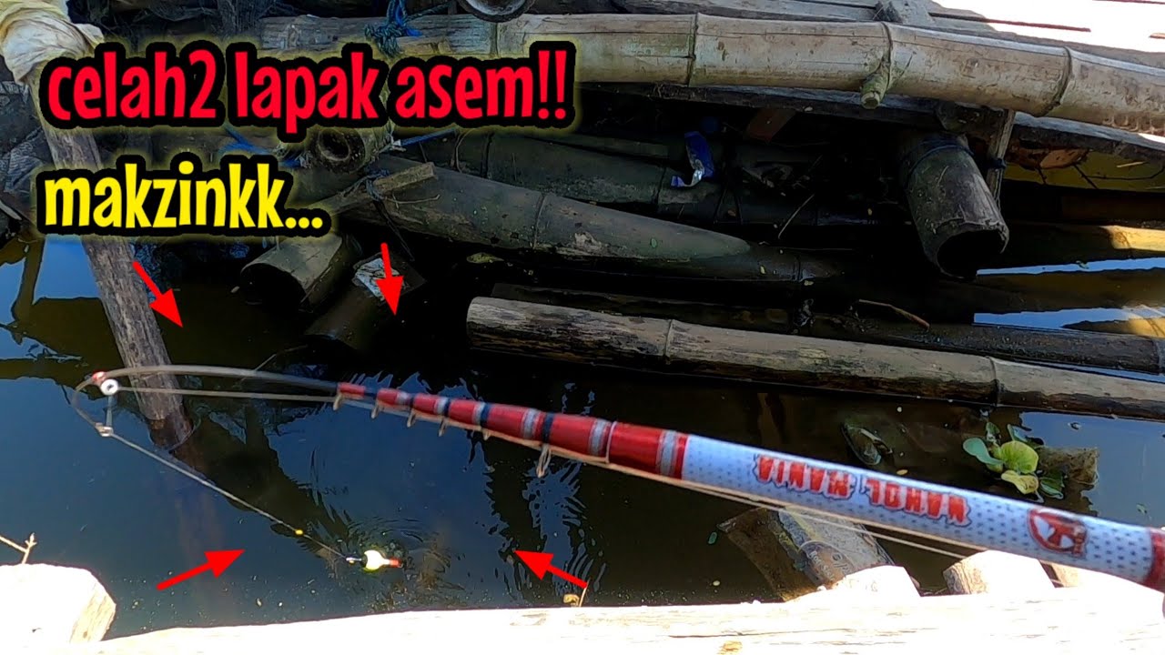 TERNYATA BANYAK IKANYA‼️ LAPAK ASEM DRUJU || mancing ikan red devil NAHOL MANIA