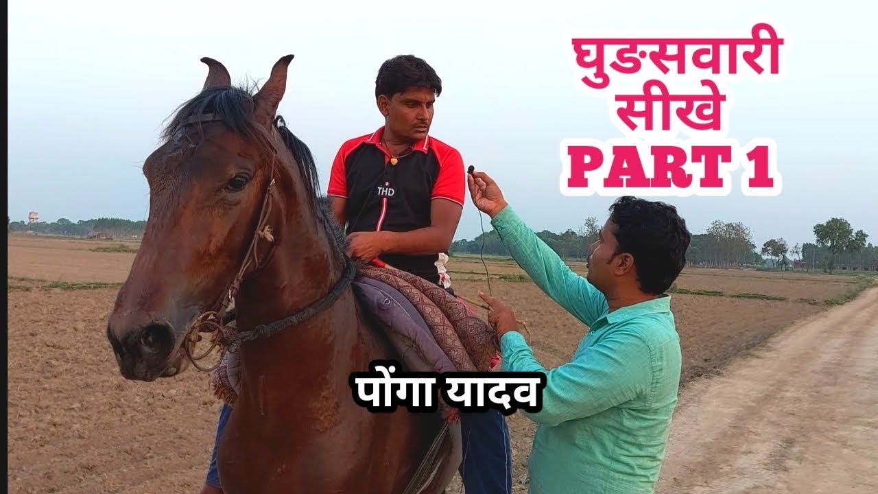 घुङसवारी सीखे आसान है राइडर पोंगा यादव से . LEARN HORSE RIDING WITH SIMPLE STEPS PART 1