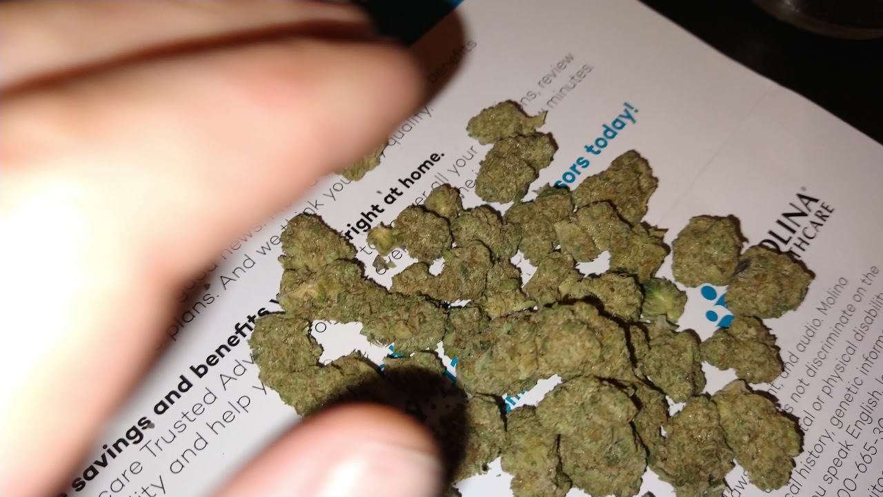 Cannabis Review-Hippie Crasher