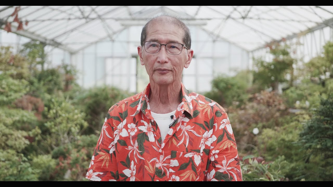 An Interview with Peter Chan - Bonsai Master