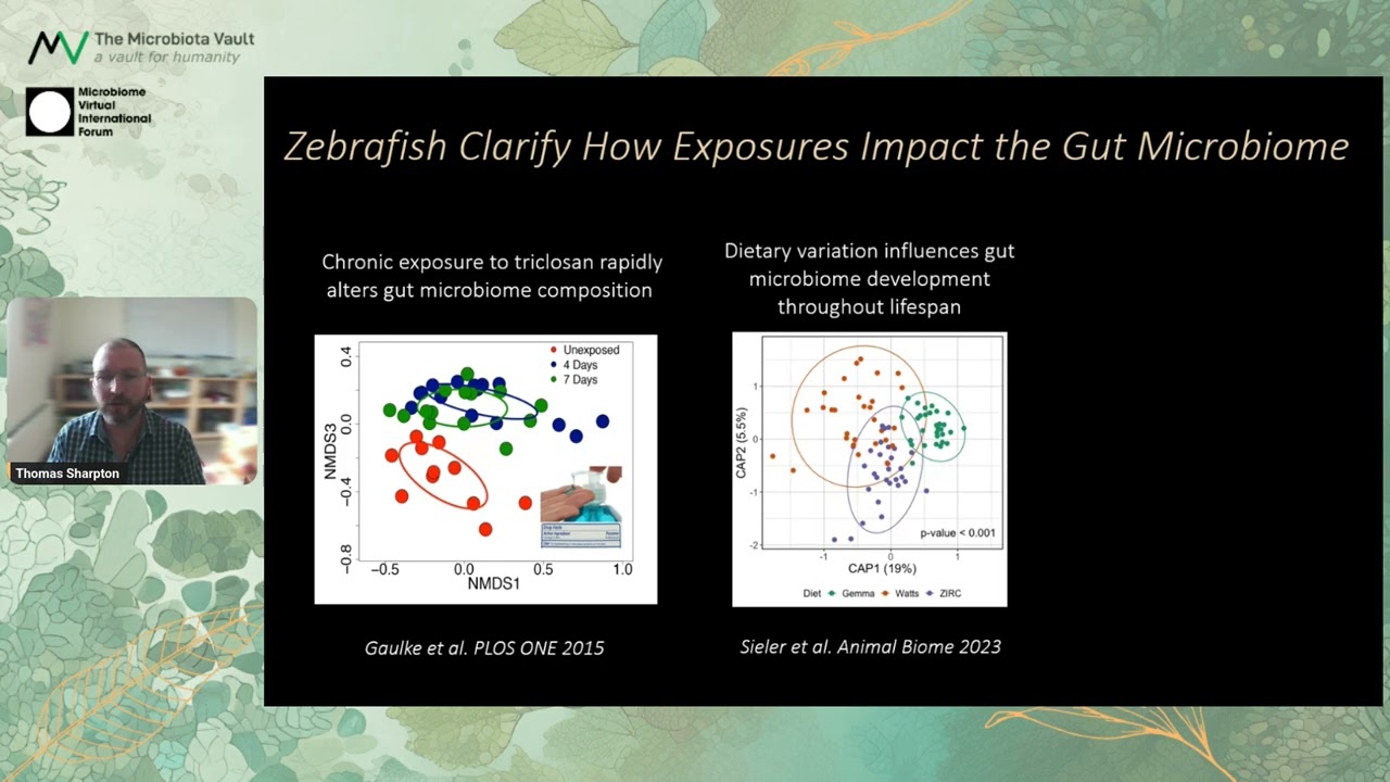 Thomas Sharpton &ndash; Disentangling the exposome&rsquo;s impact on the gut microbiome and health | MVIF41 S05