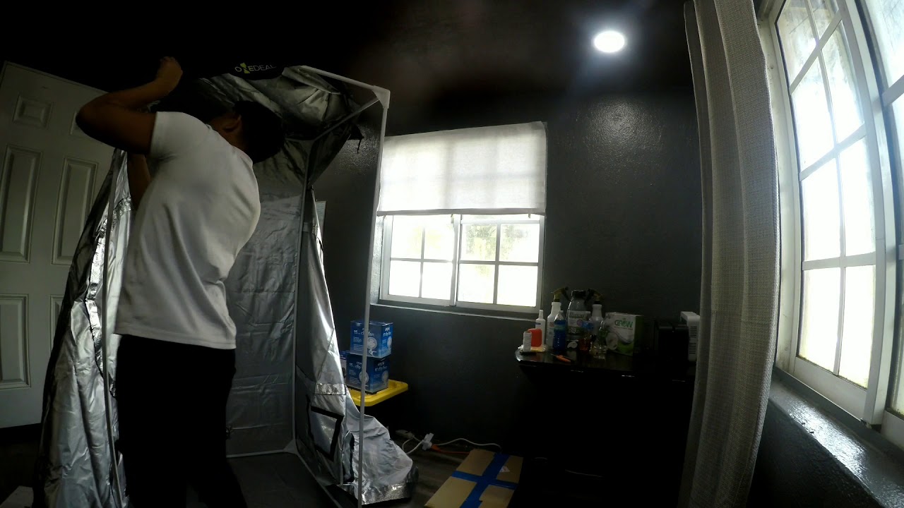 (HOW TO SETUP) Full Grow Tent with Spider Farmer SF2000 Easy & Quick. (Seed To Harvest)