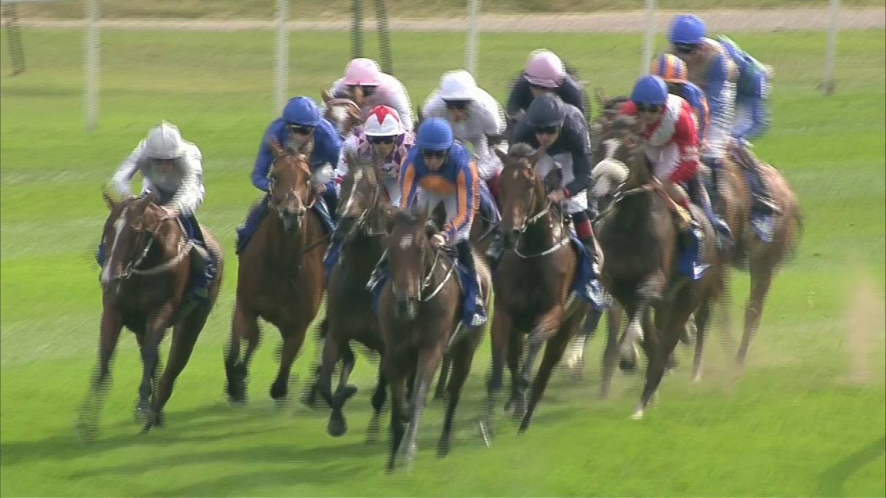 2016 Darley Yorkshire Oaks - Seventh Heaven (IRE)