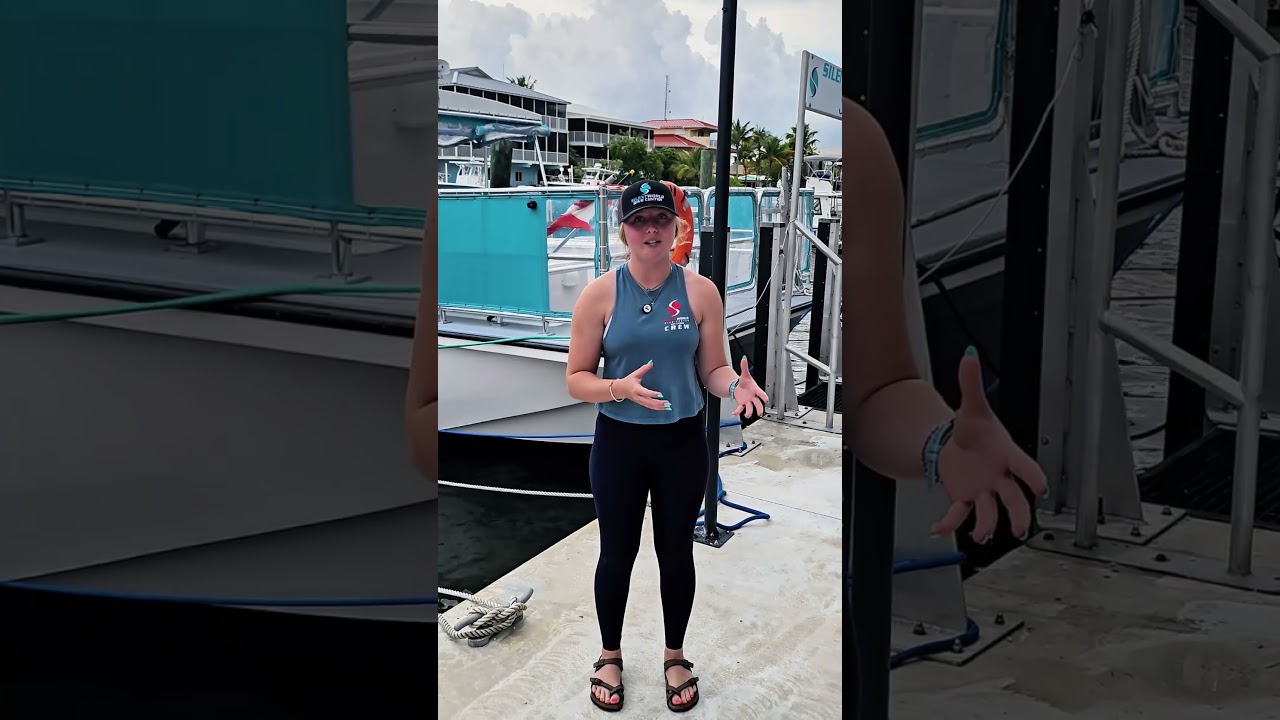 Why Sanitizing Your Snorkel Gear Matters 🧽
