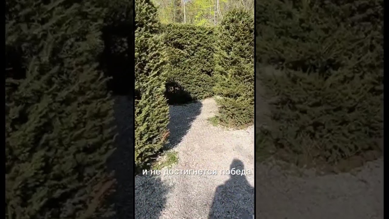 Бхакти Йога 🧘🏼&zwj;♀️ #108ой #йога #йогакаждыйдень ##бхактийога