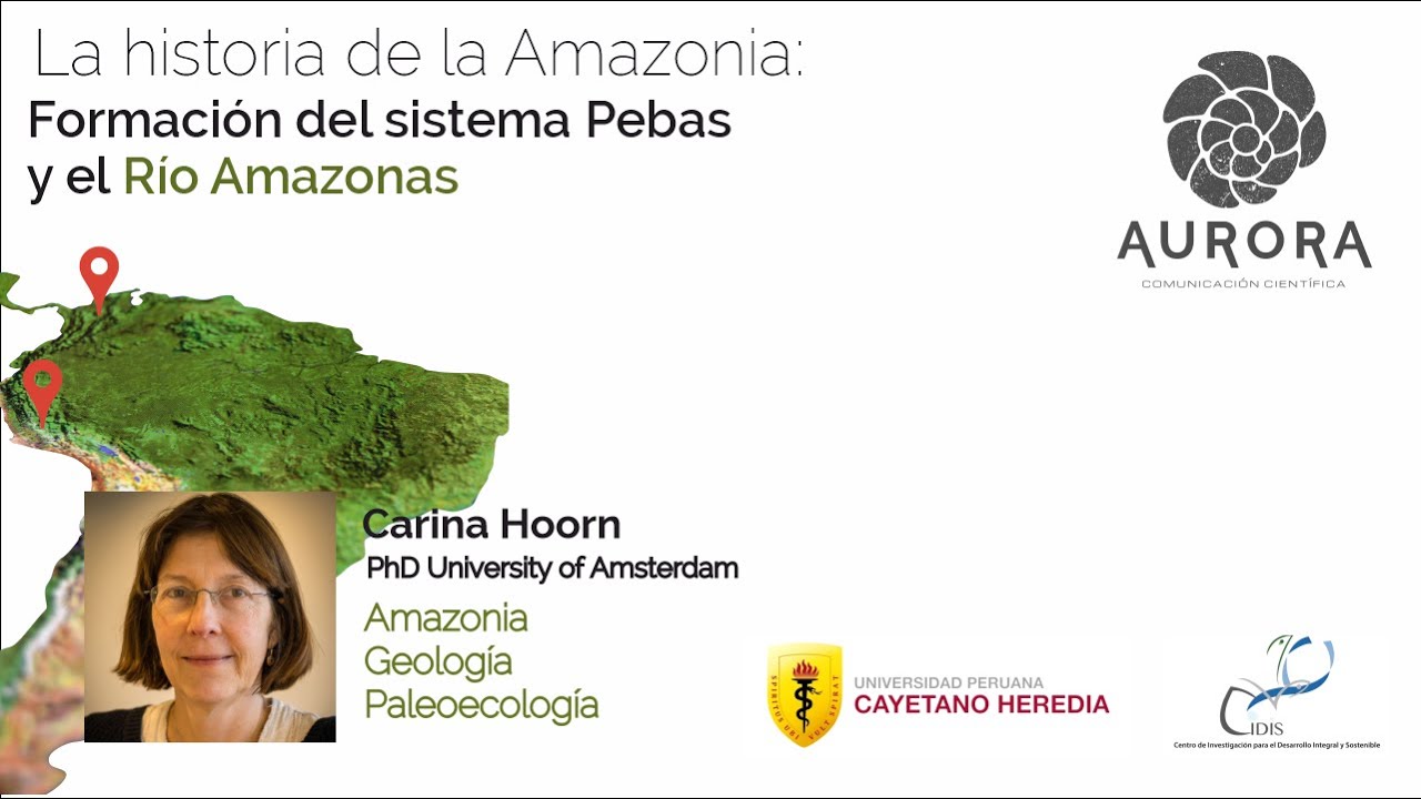 La historia de la Amazonia: Formación del sistema Pebas y el Rio Amazonas