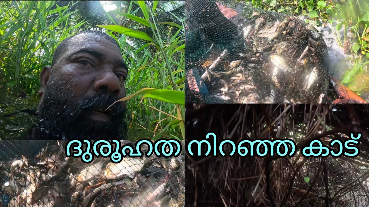 ദുരൂഹത നിറഞ്ഞ കാട് | FISHINGVLOG | #reallife #realfishing 