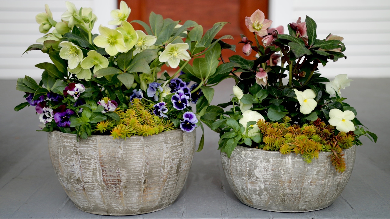 Spring Container Inspiration // Garden Answer