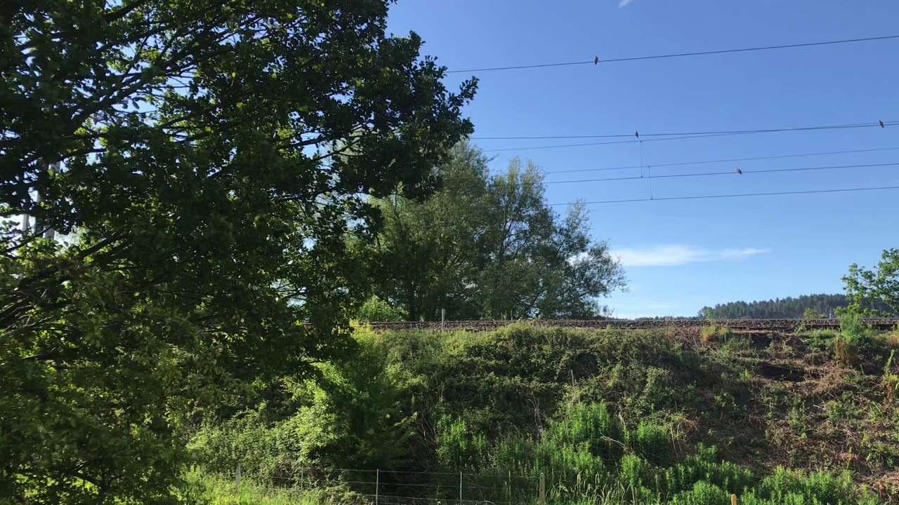 The Real Trains of Colwich Junction