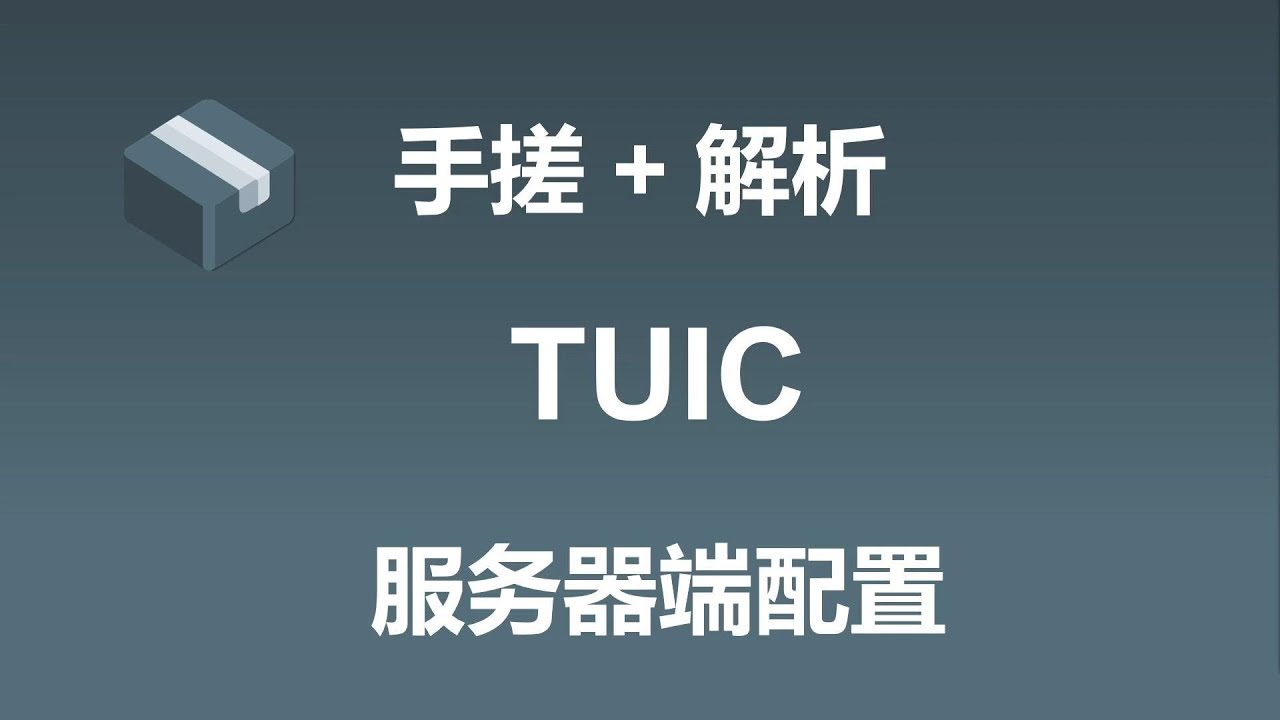 手搓+解析 TUIC服务器端配置 | sing-box TUIC服务器配置