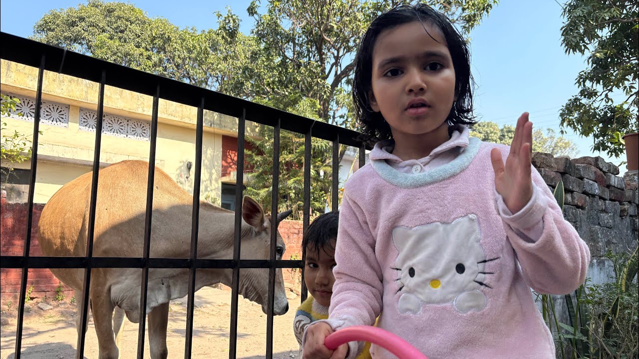 Ghr aayi cow 🐮 #brothersister #cowvideos #coweating #cowboys #cowlover #bbay #playing #funnybaby #co