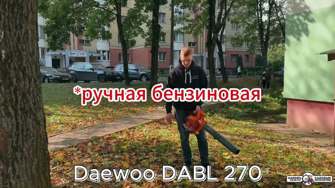 Тест на Садовый пылесос бензиновый Daewoo DABL 270
