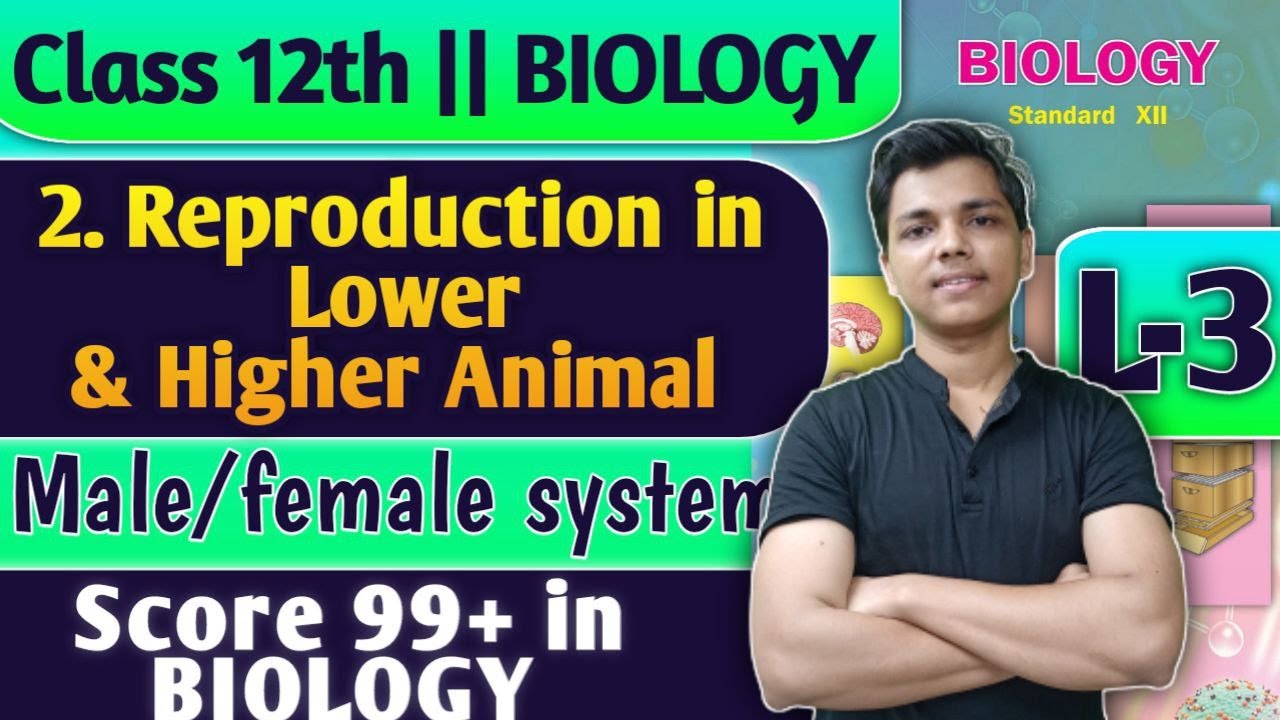 L-3 | 2. Reproduction in Lower and Higher Animal Class 12 Biology Sexual Reproduction #biology