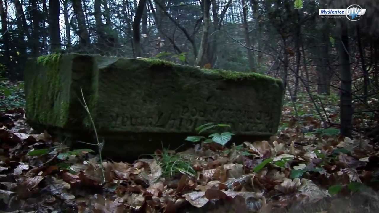 Cmentarz choleryczny na Buk&oacute;wce - zapomniana nekropolia