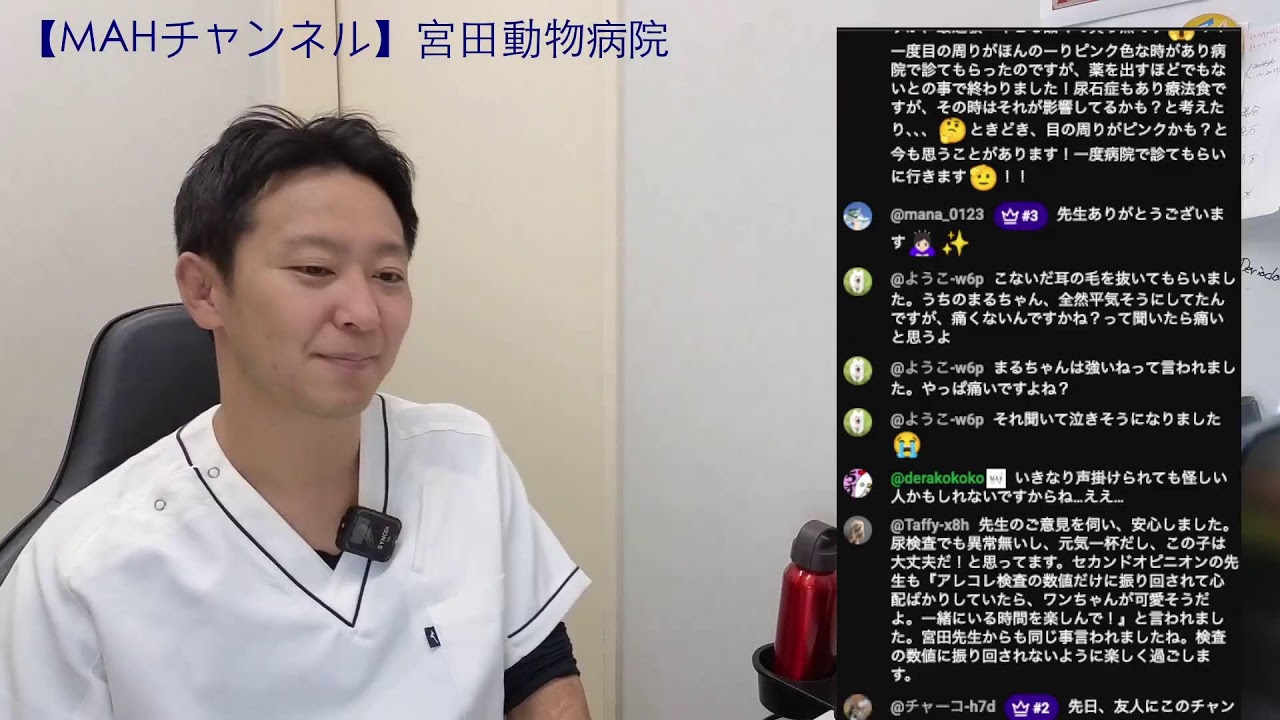 宮田動物病院 ライブ配信【MAHチャンネル】