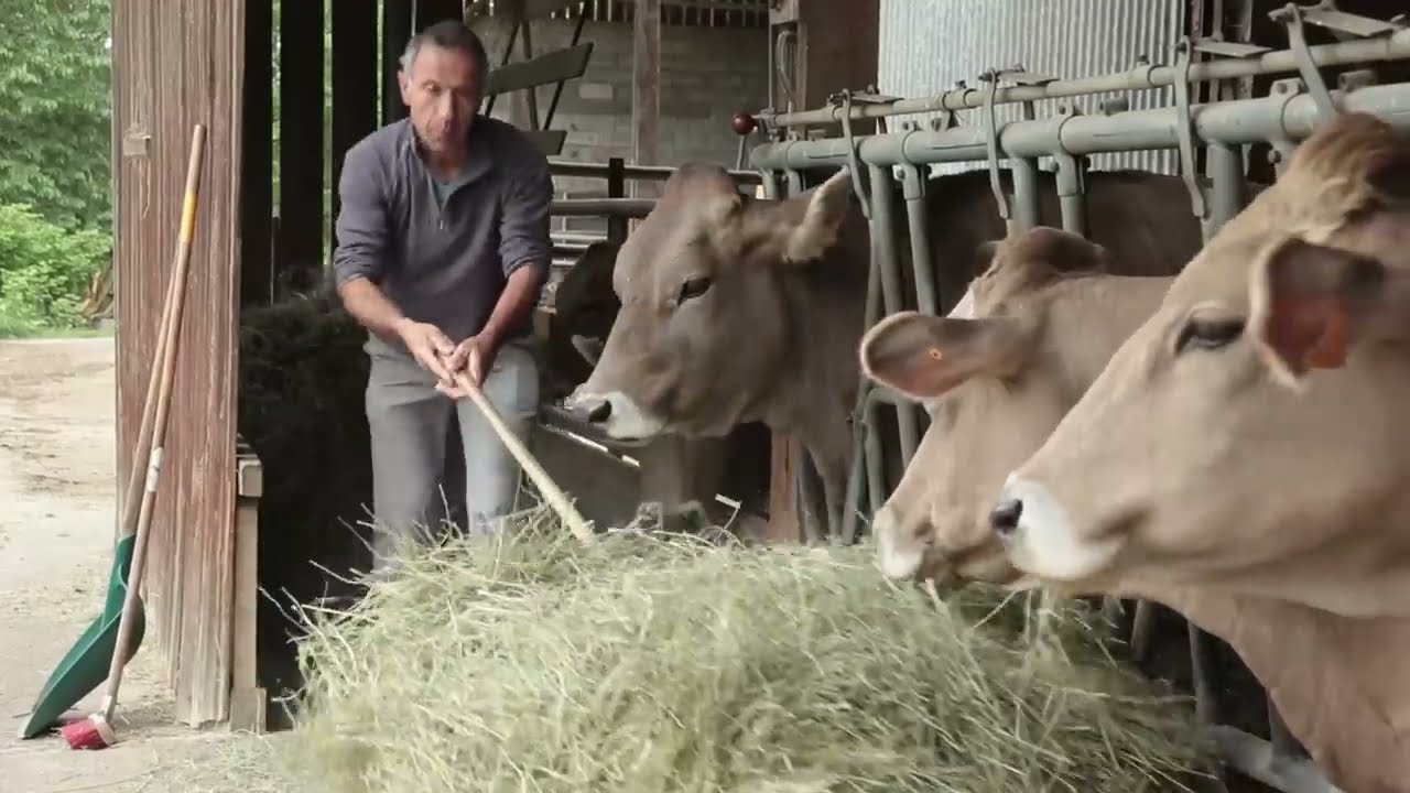 Ferme du Carrégaut: séchage solaire de fourrage en grange