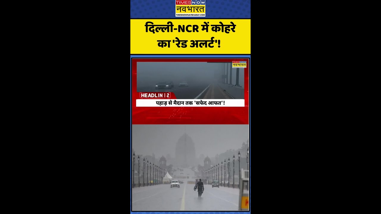 Delhi Weather: Delhi-NCR में कोहरे का 'रेड अलर्ट'! #delhiweather #densefog #delhincrweather