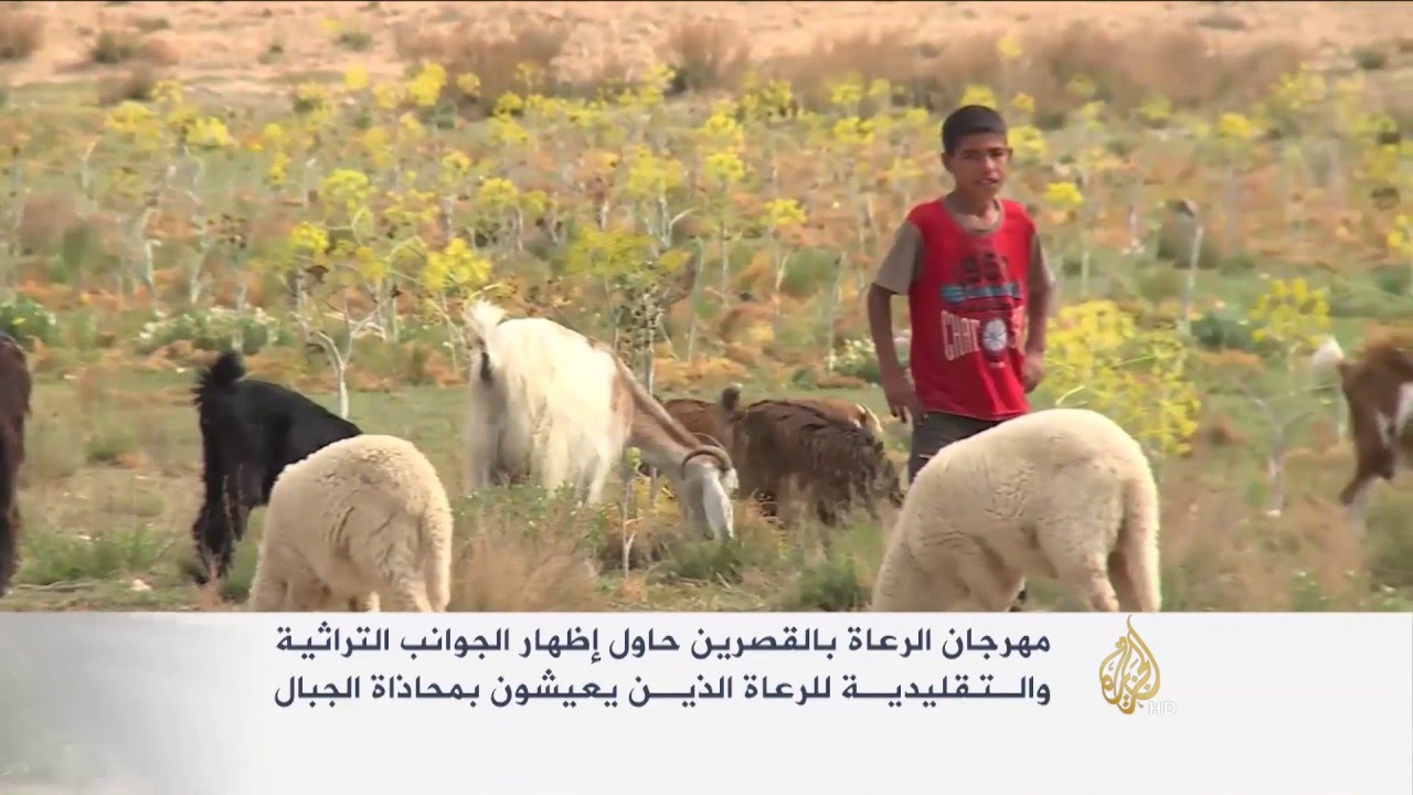 مهرجان الرعاة على سفح جبل بمحافظة القصرين التونسية