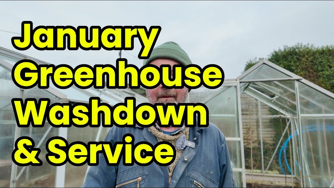 Greenhouse Cleaning And Repairs | WashDown, Window Repairs And More #greenhouse #gardening #diy