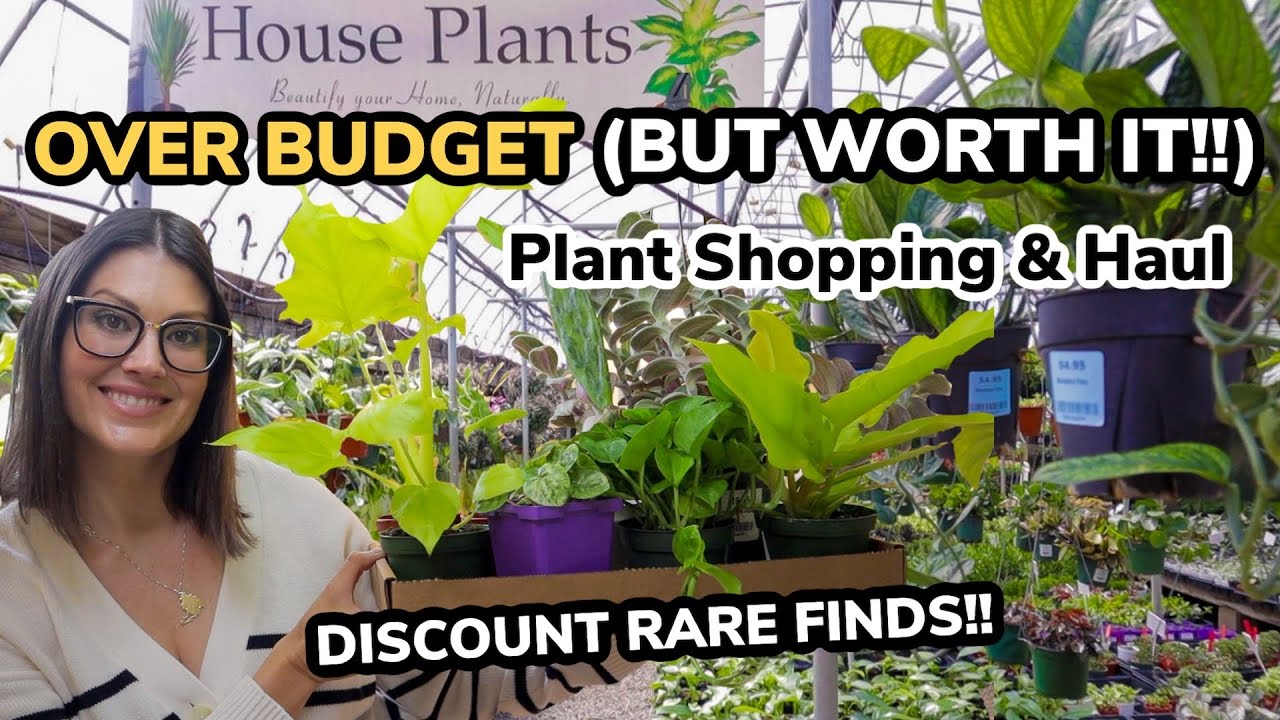 OVER BUDGET...But Worth It! - Big Bloomers Nursery Plant Shopping & Plant Haul - Indoor Plants