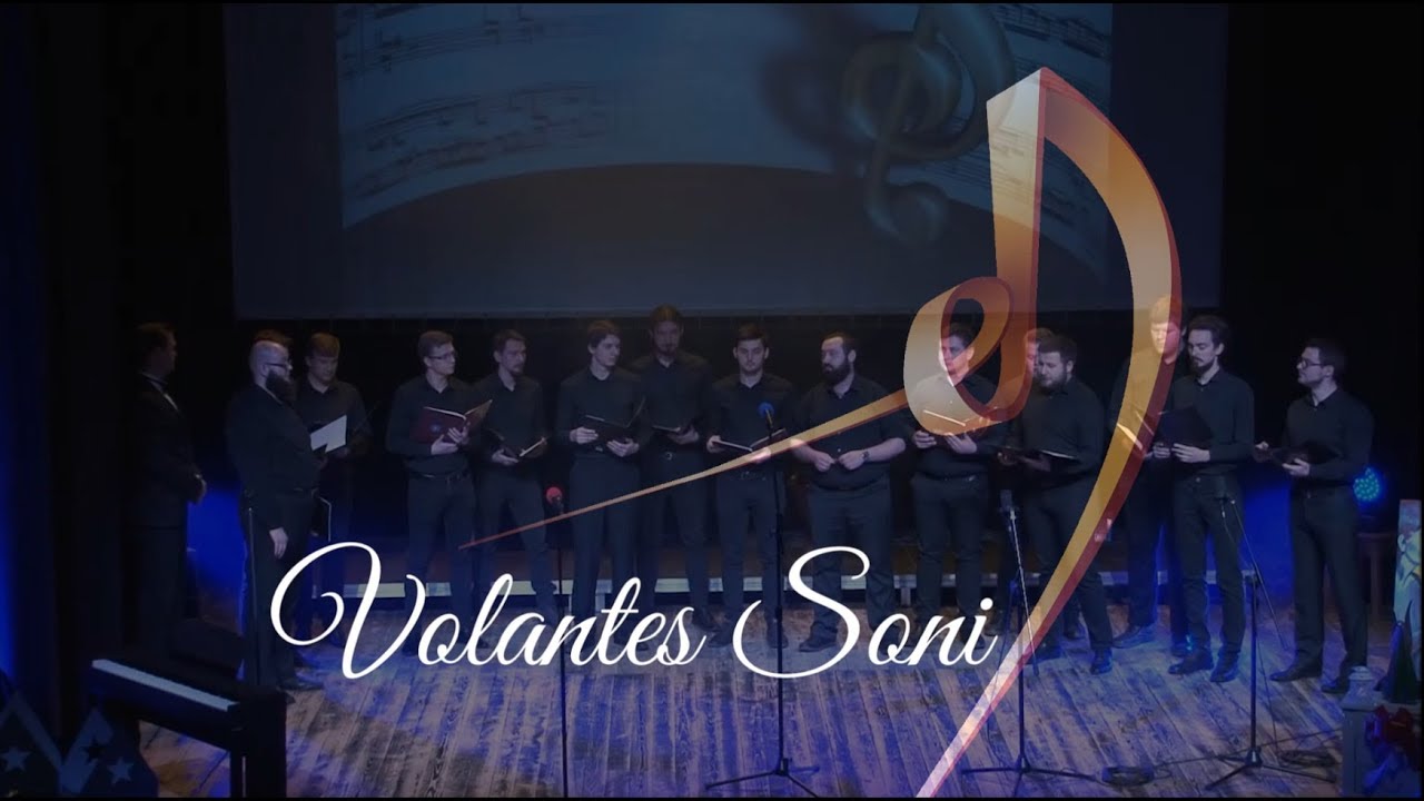 Volantes Soni – Koń – Lube